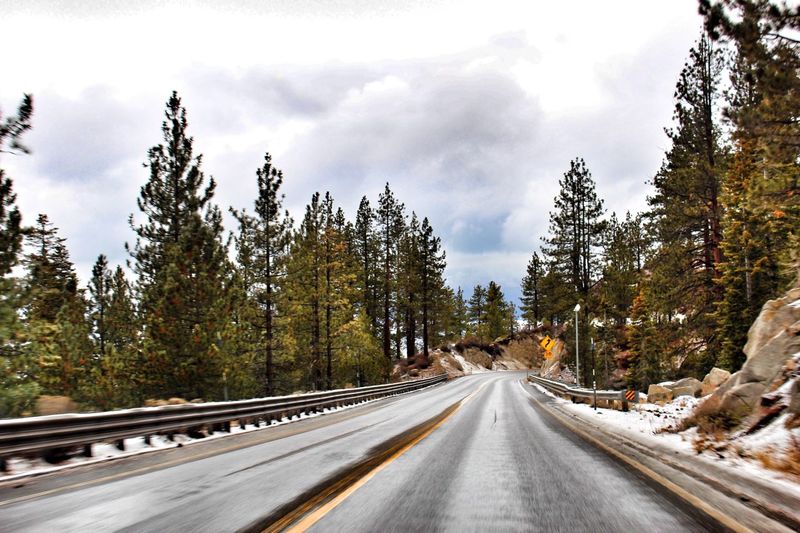 Street amidst trees against cloudy sky during winter