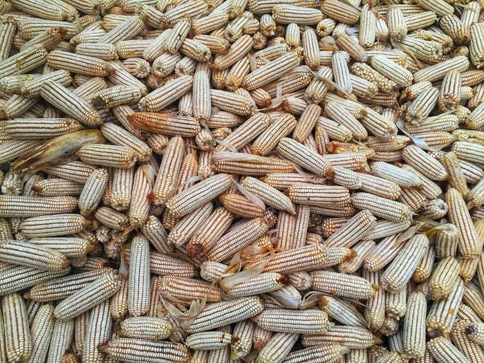 Full frame shot of dry corns for sale at market 