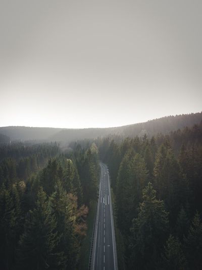 Panoramic view of road amidst trees against clear sky