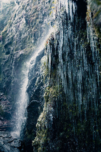 Icicles by waterfall in forest
