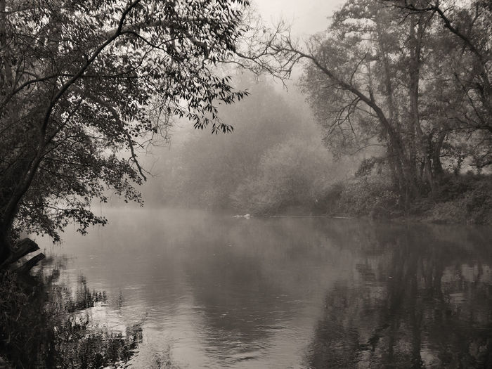 Reflection of trees in lake against sky