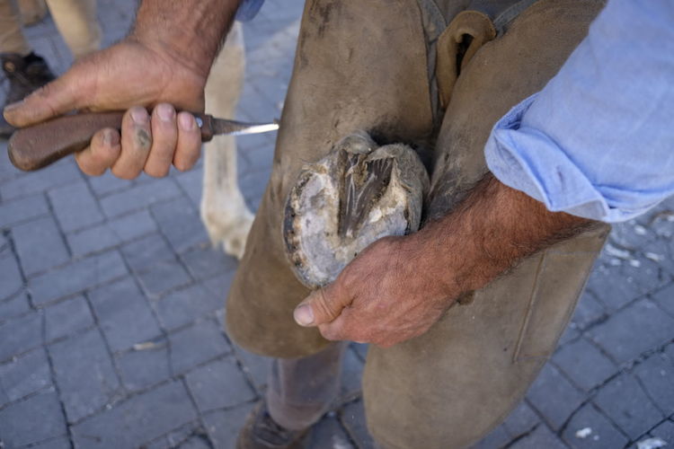 Low section of farrier holding horse leg