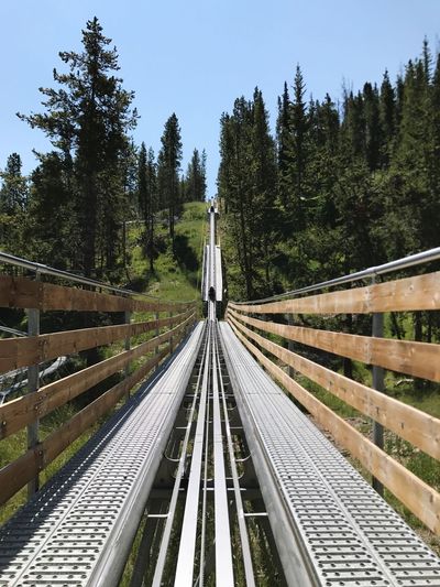 Railroad tracks amidst trees against sky