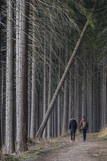 Rear view of man and woman walking on footpath by trees in forest