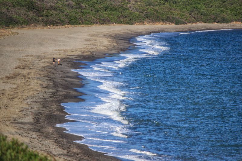 Scenic view of beach