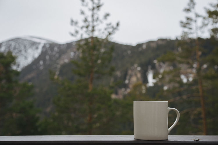 Close-up of coffee cup against trees