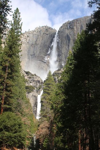 View of waterfall with trees in foreground